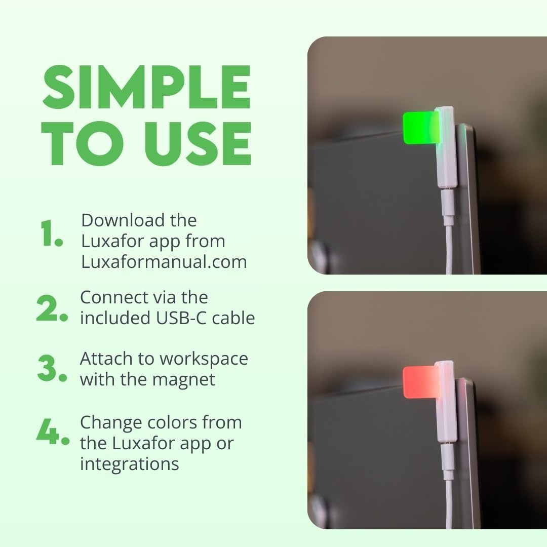 Luxafor Flag 2 Function